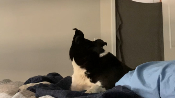 Blanket Challenge.MOV